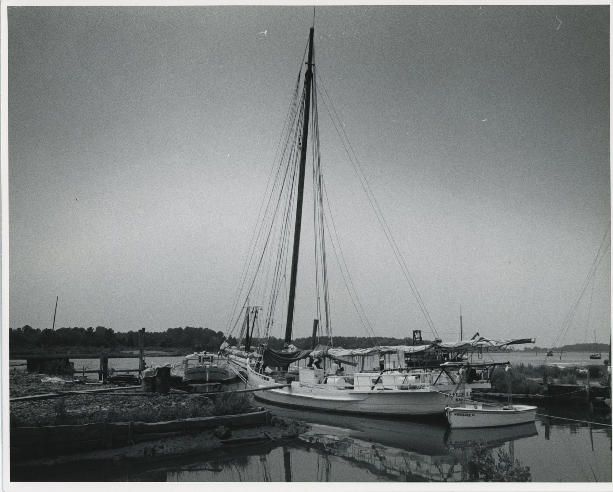 CBMM catalog image