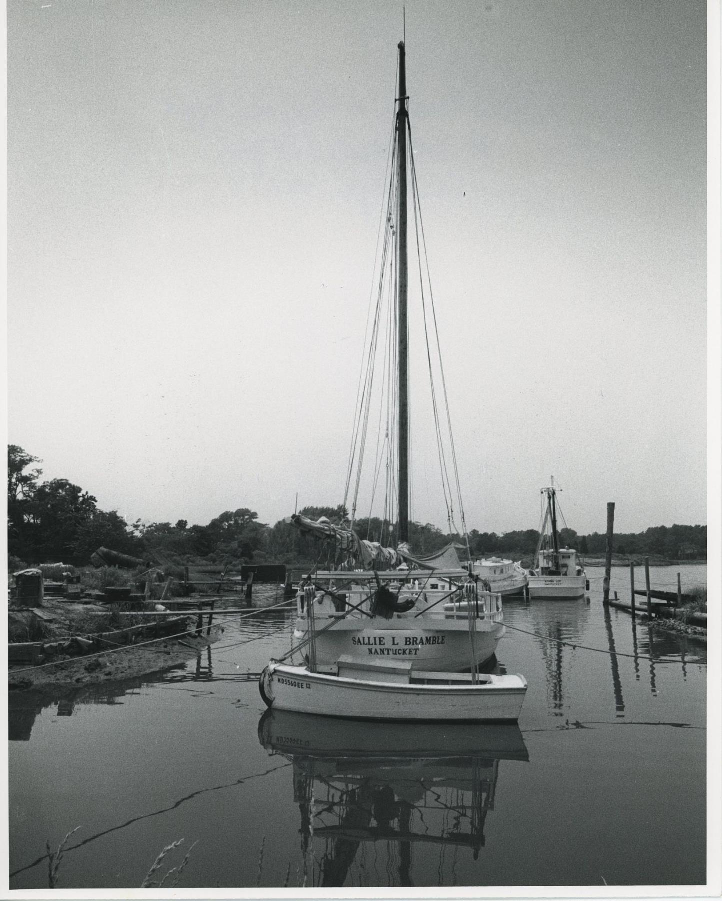CBMM catalog image