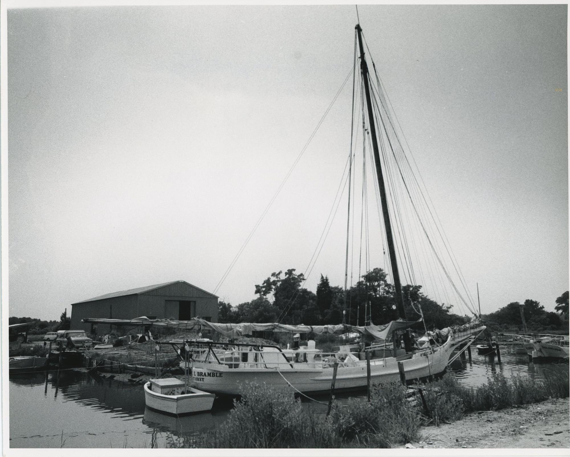 CBMM catalog image