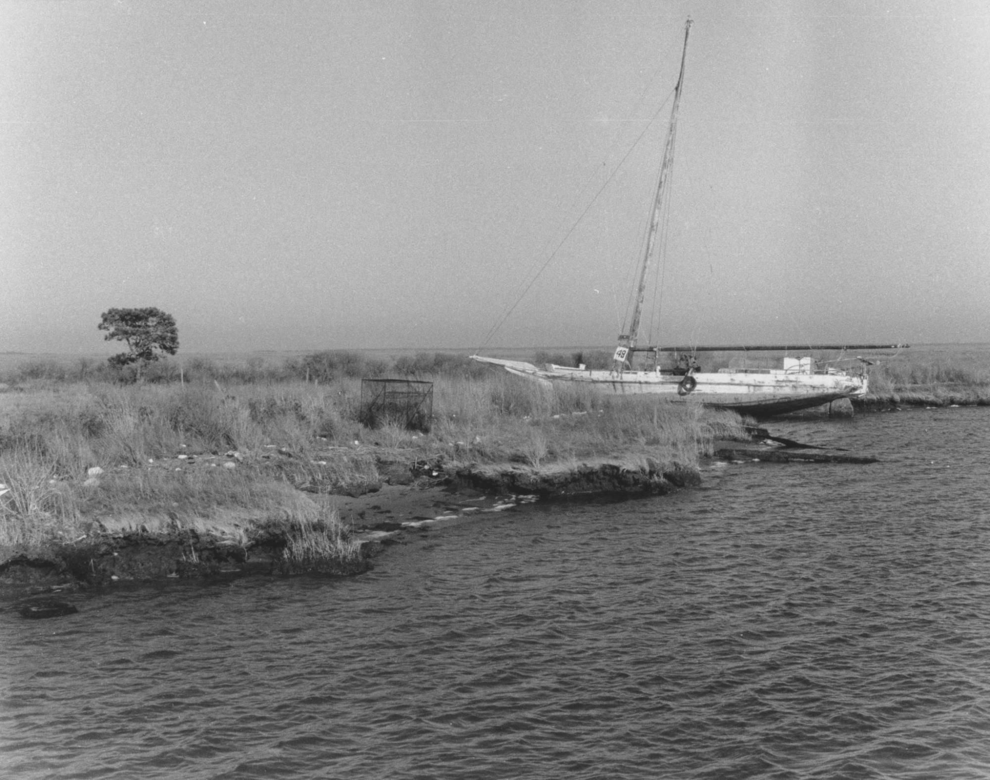 CBMM catalog image