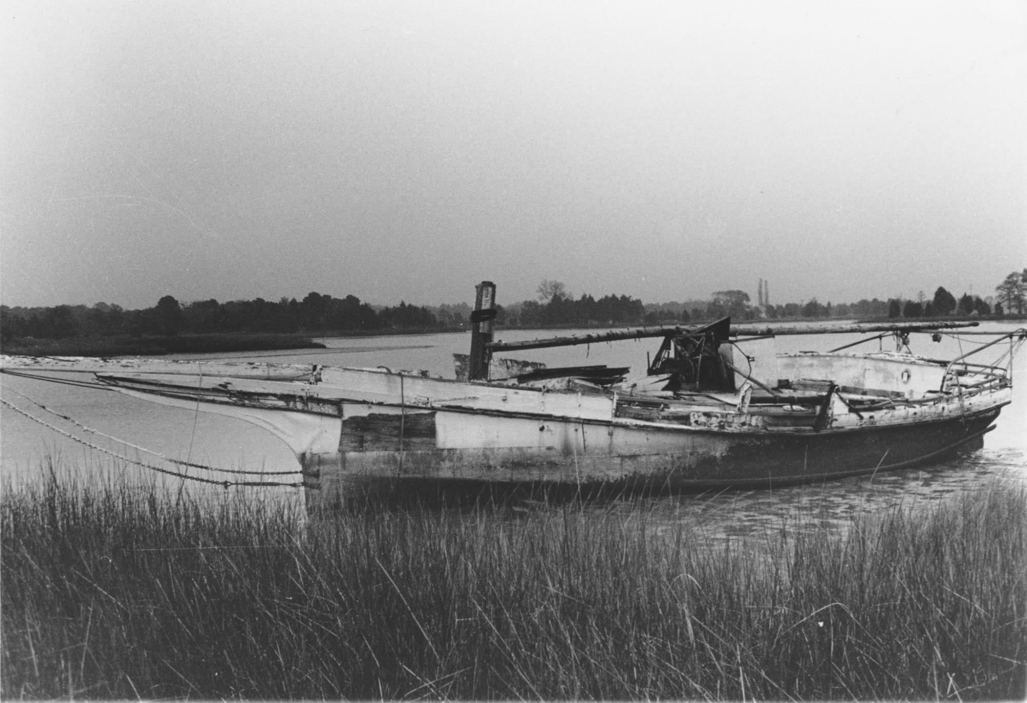 CBMM catalog image