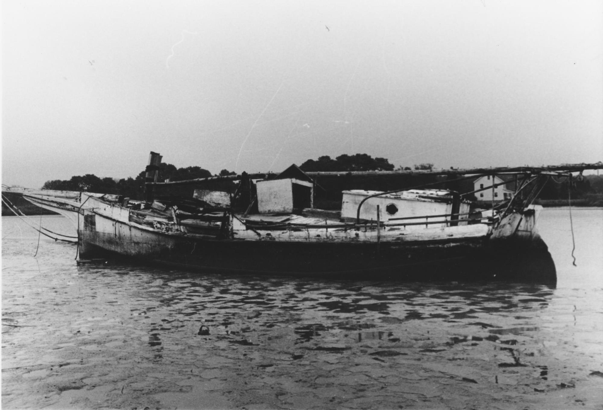 CBMM catalog image