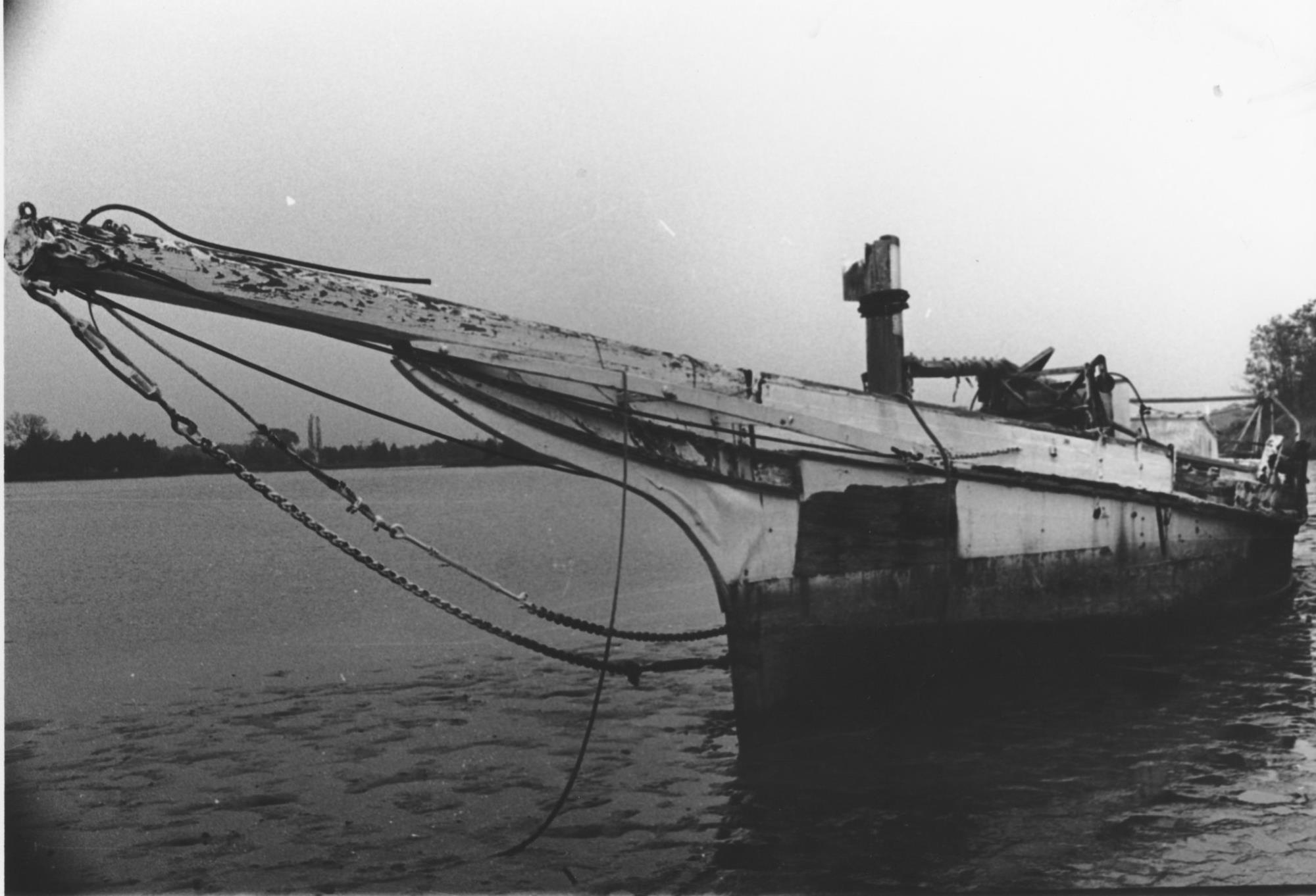 CBMM catalog image