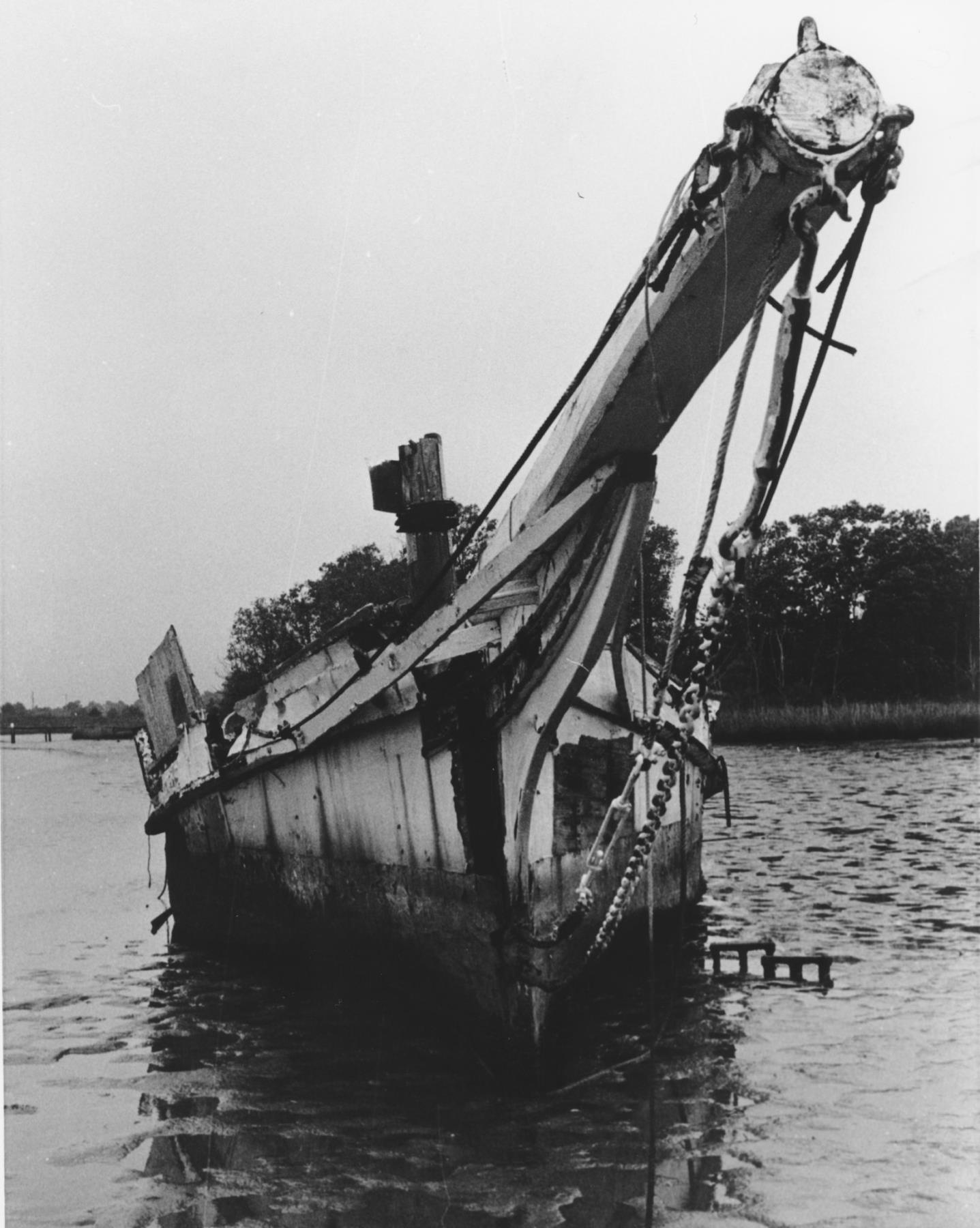 CBMM catalog image