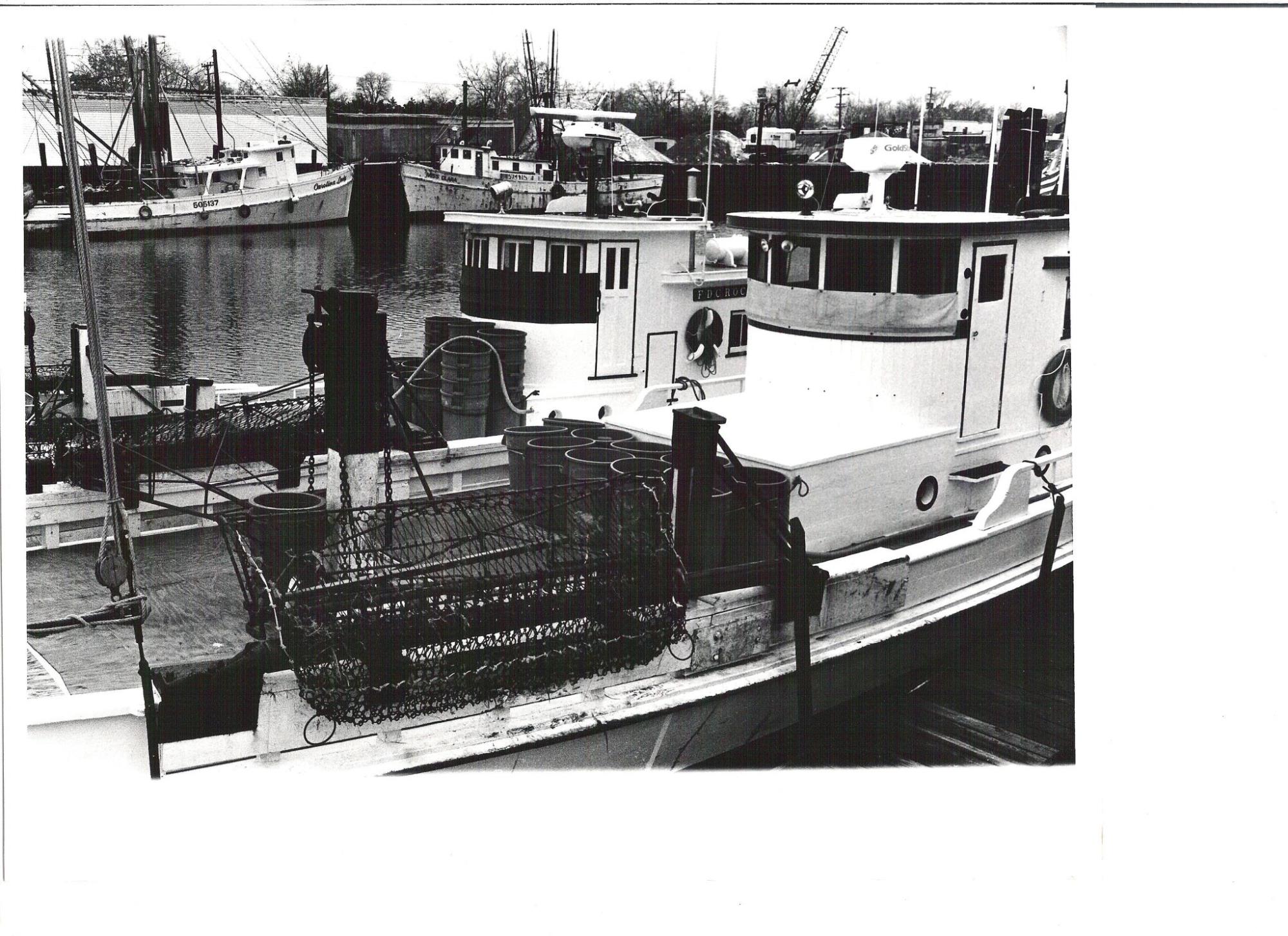 CBMM catalog image