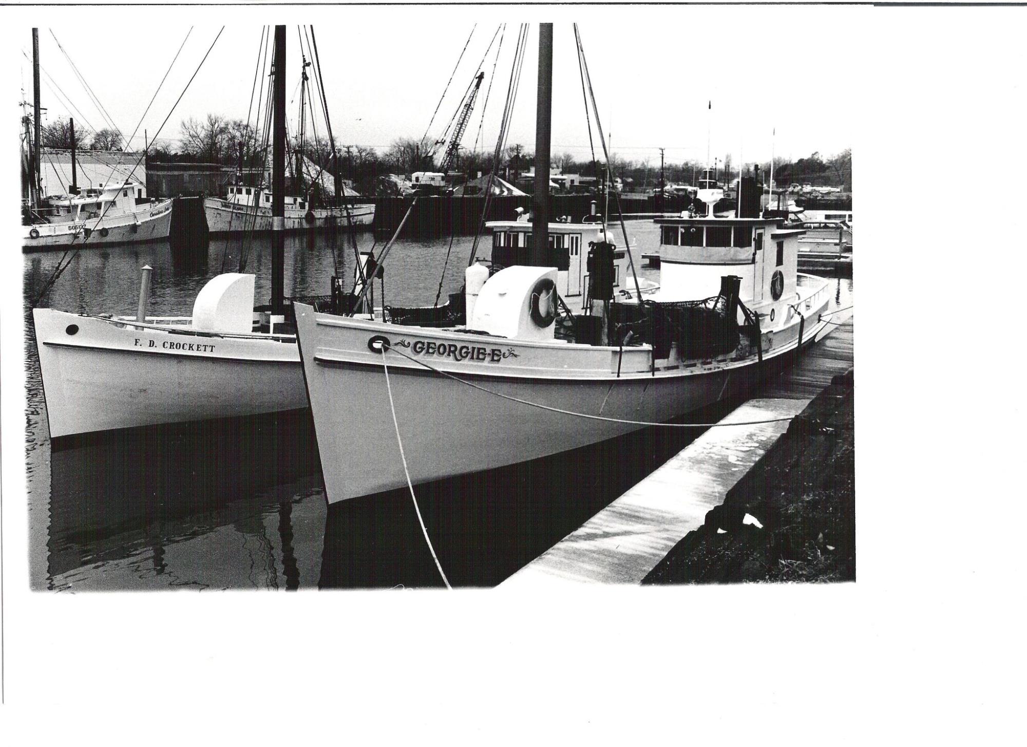 CBMM catalog image