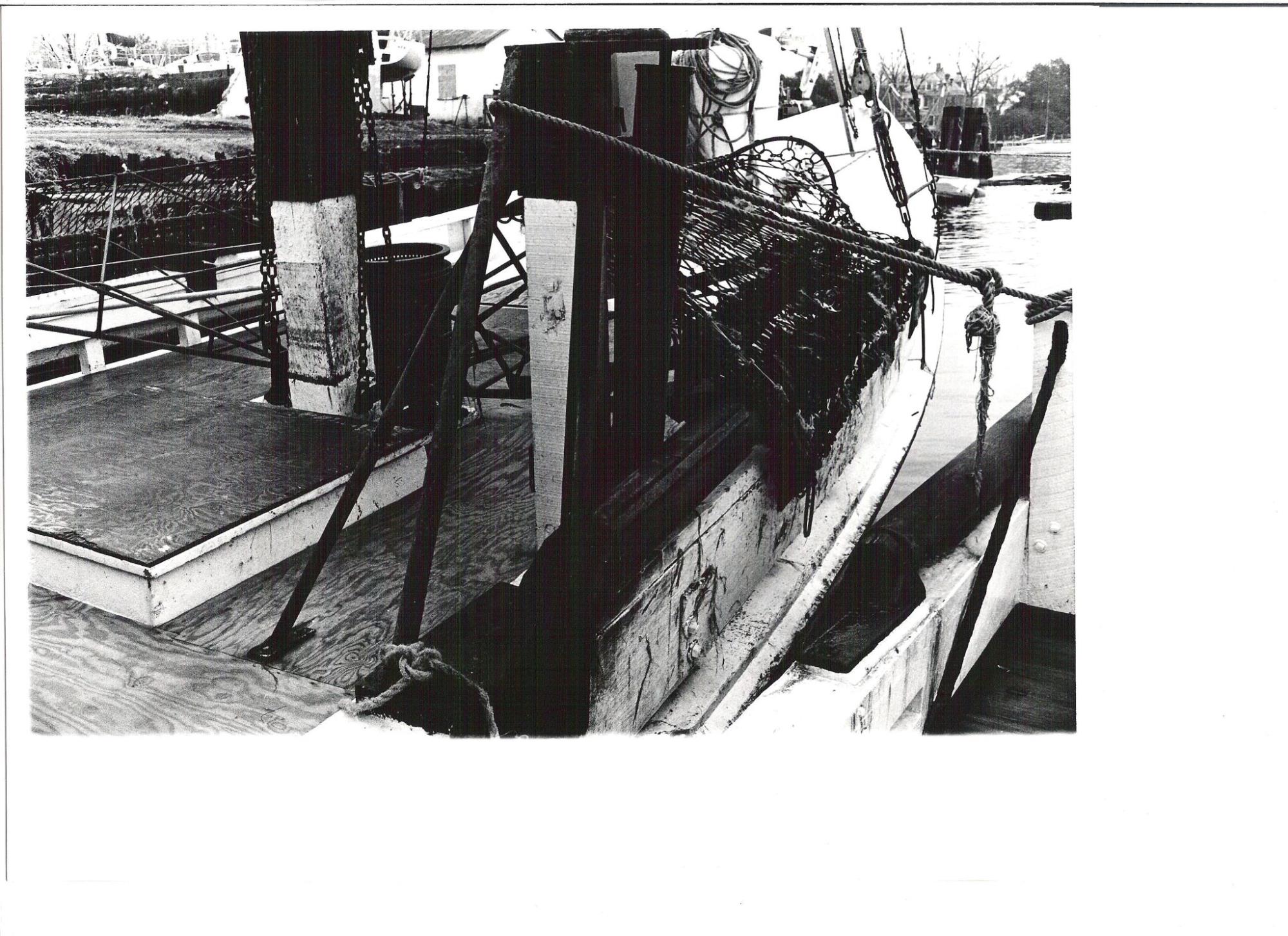CBMM catalog image