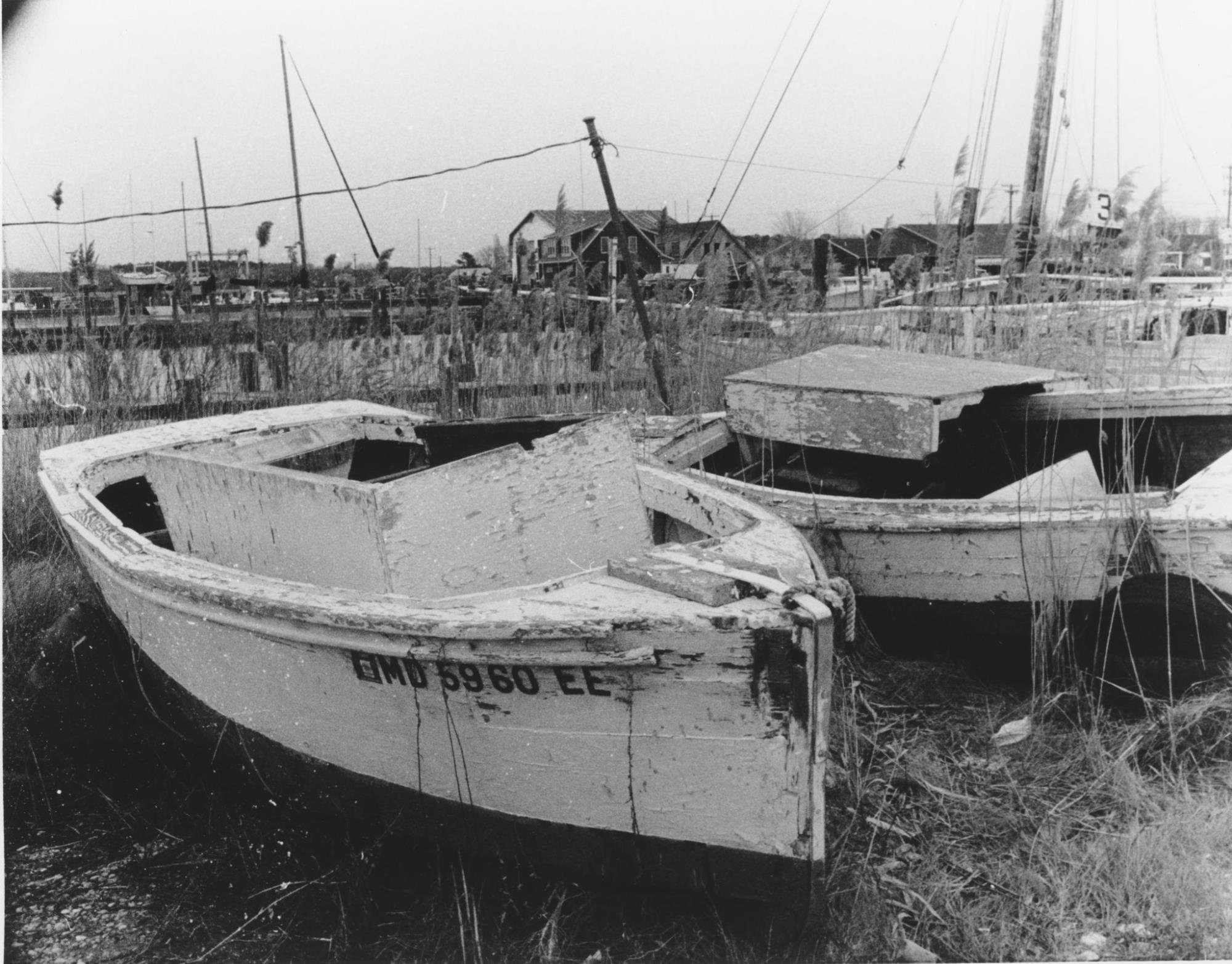 CBMM catalog image