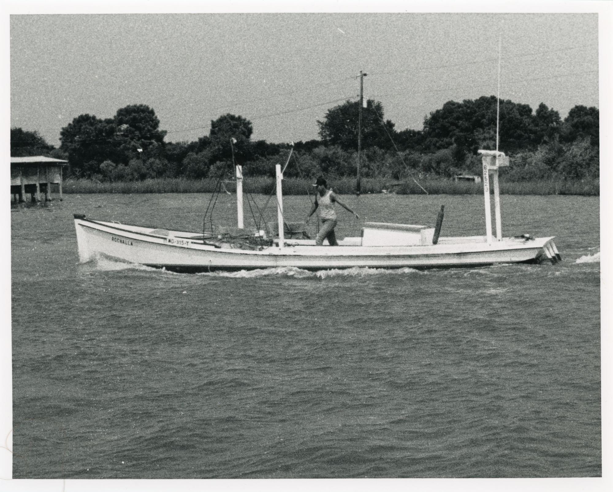 CBMM catalog image