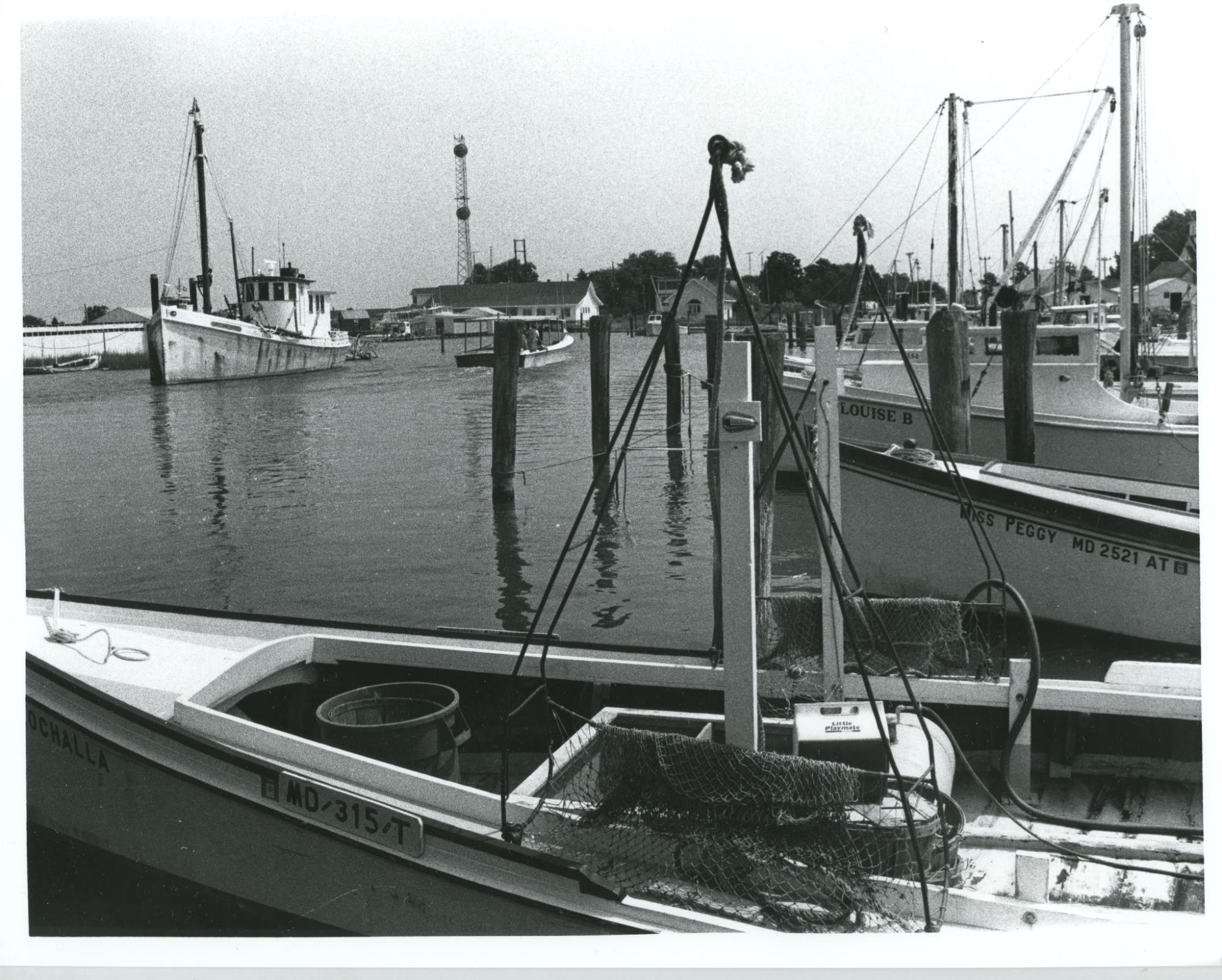 CBMM catalog image