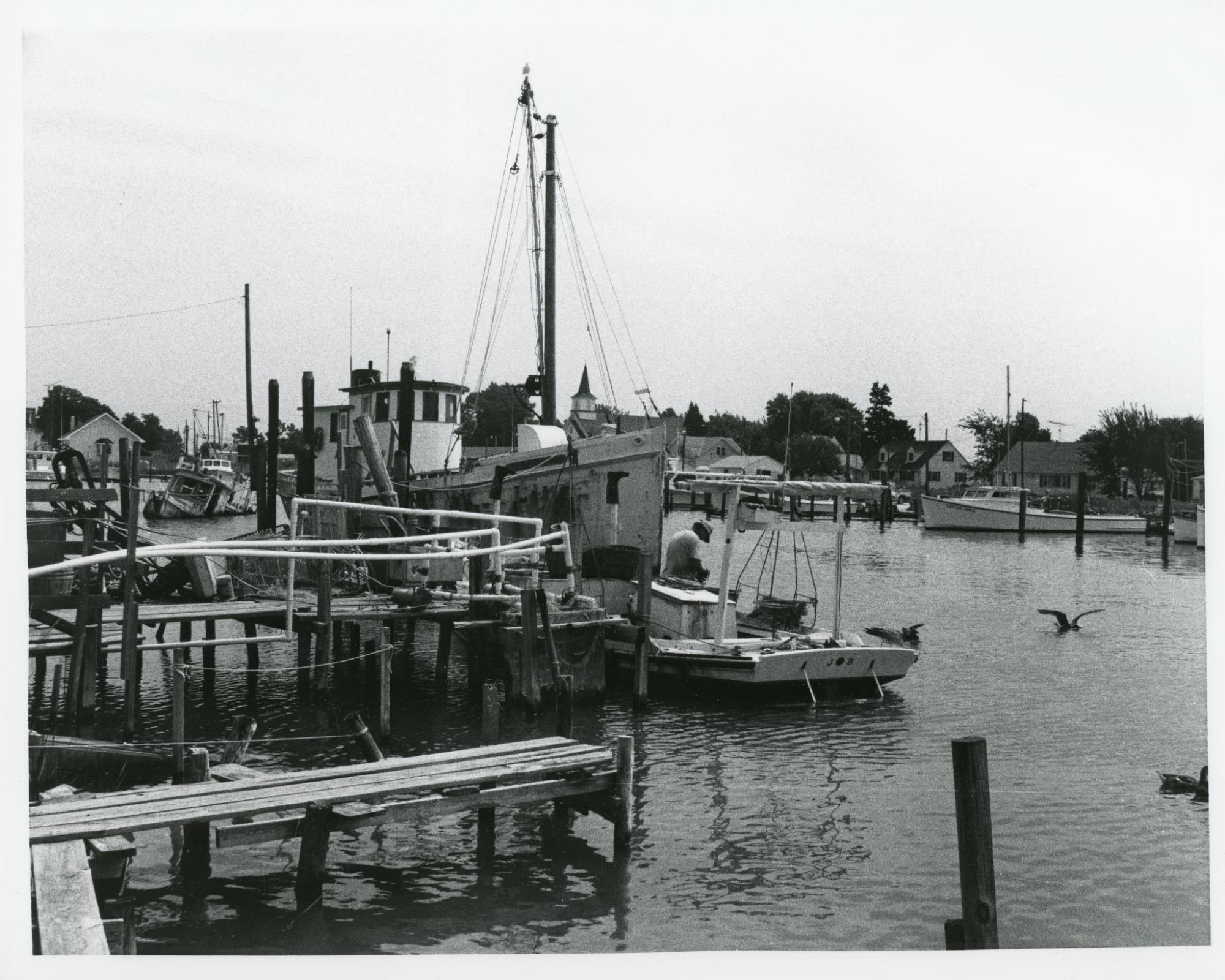 CBMM catalog image
