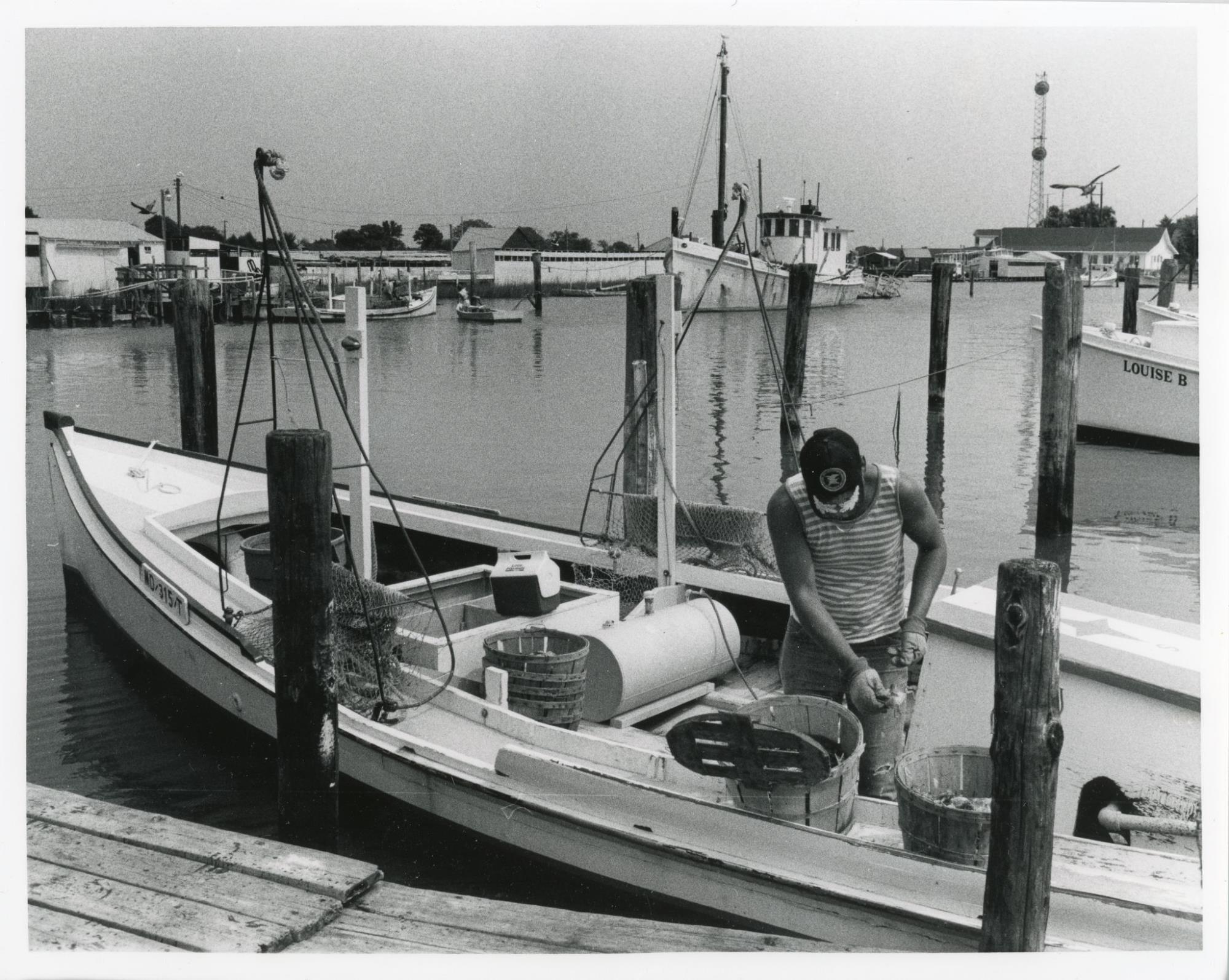 CBMM catalog image