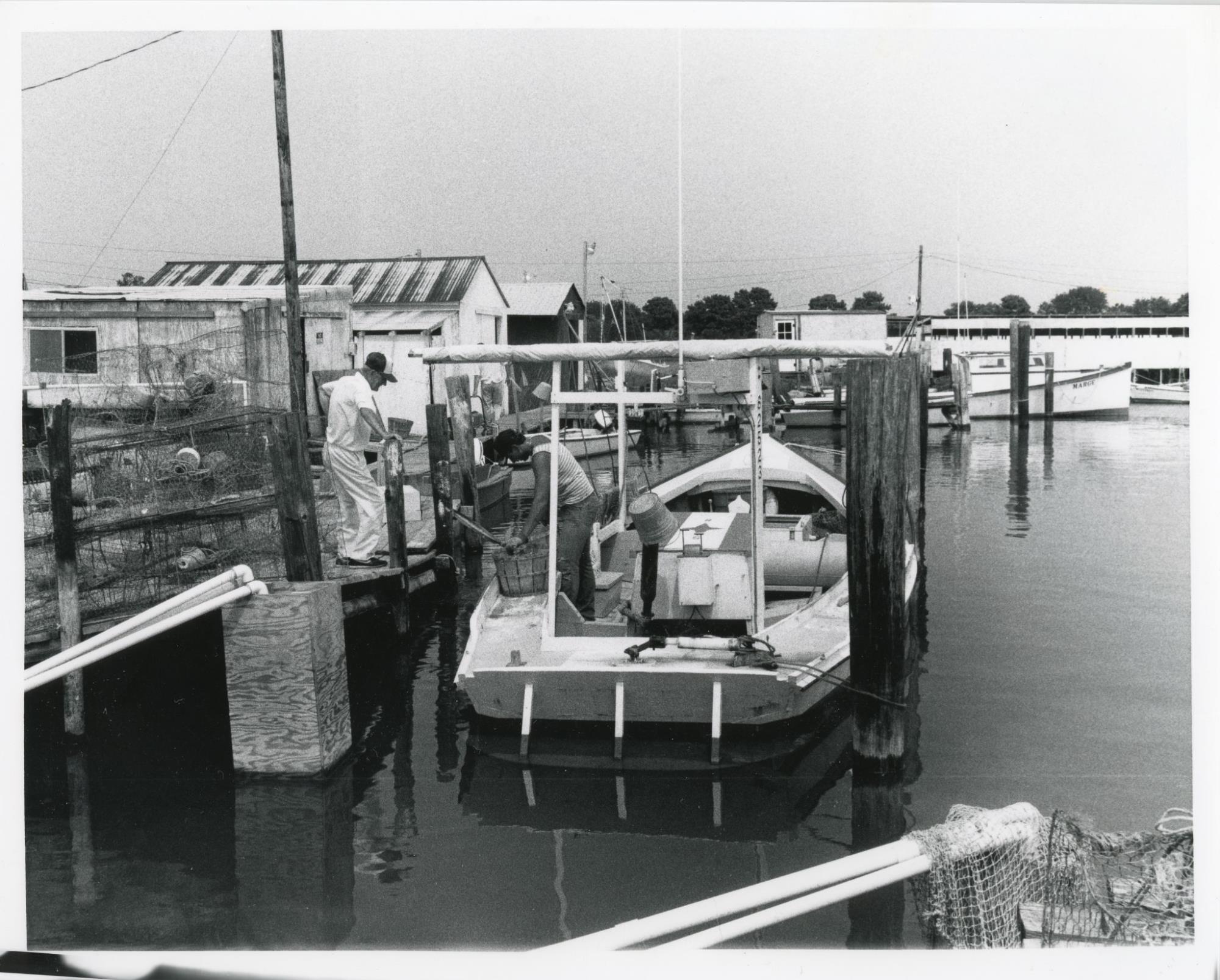 CBMM catalog image