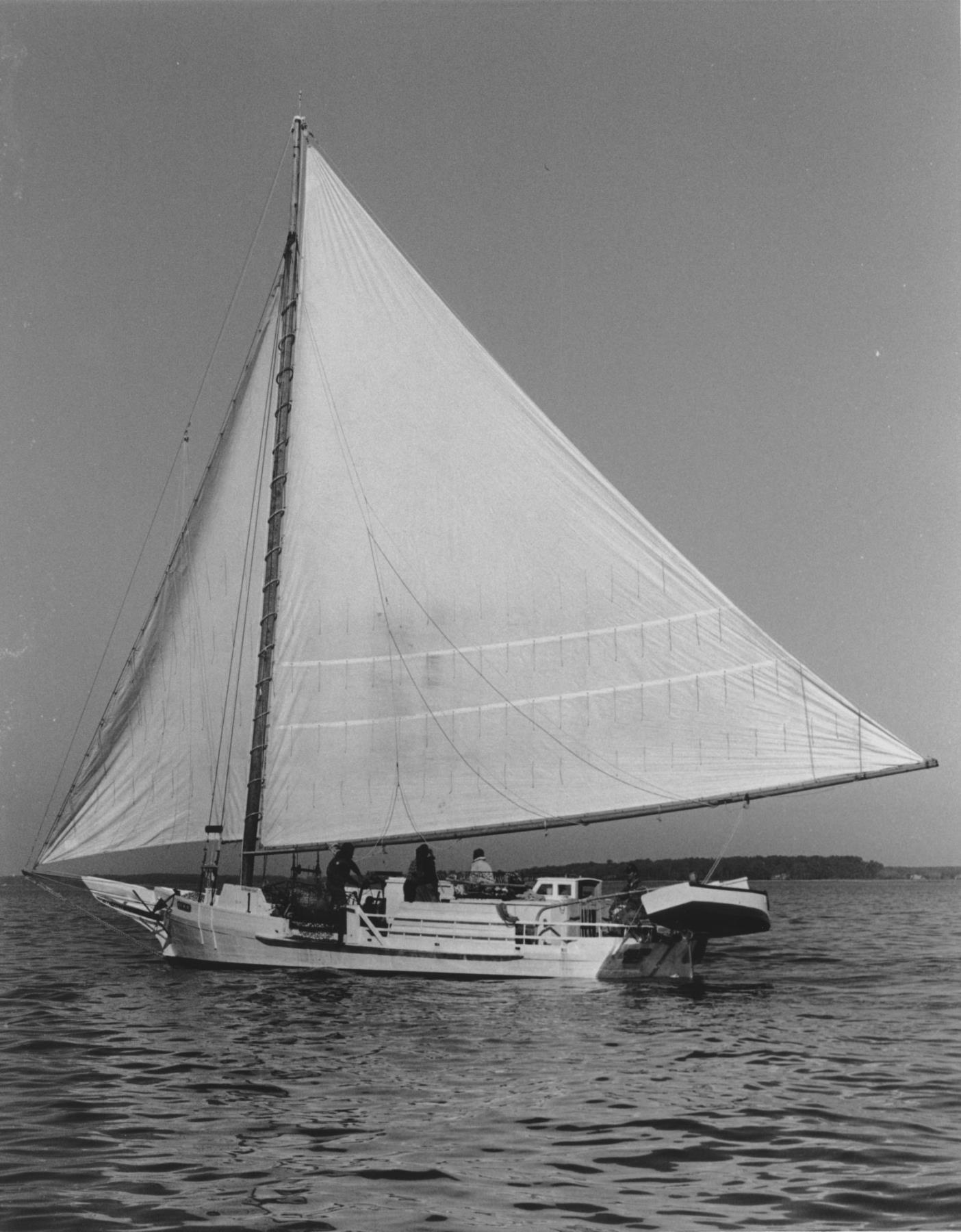 CBMM catalog image