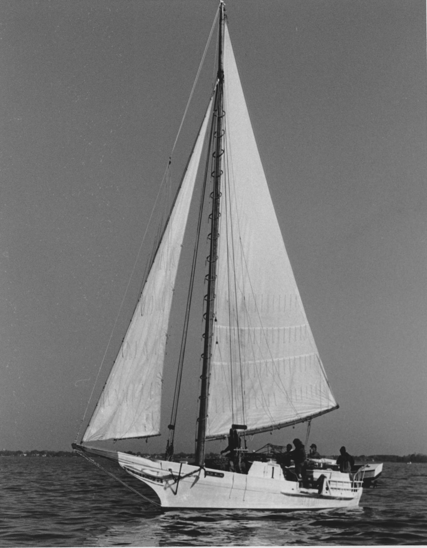 CBMM catalog image