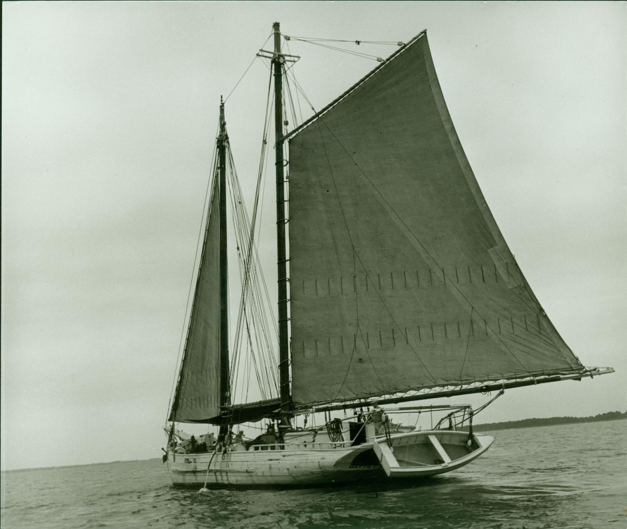 CBMM catalog image