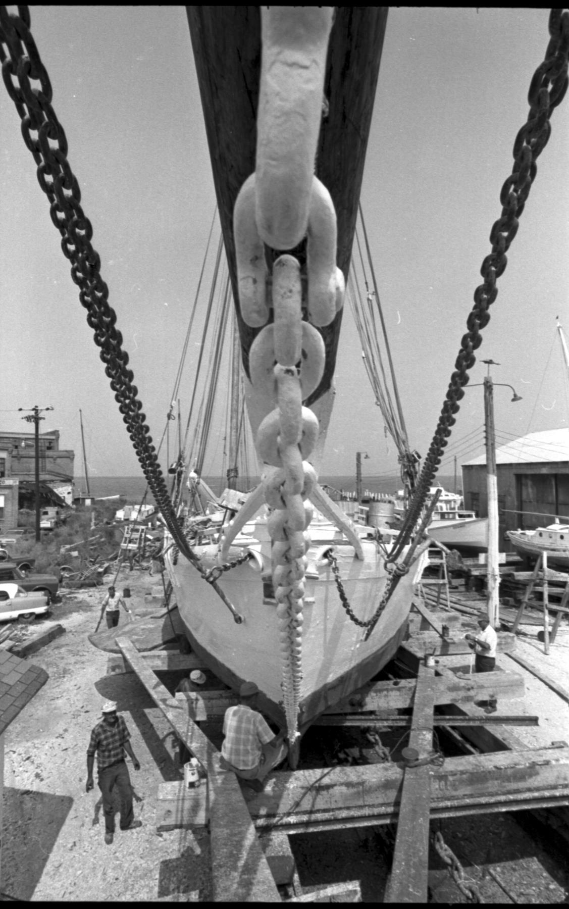 CBMM catalog image