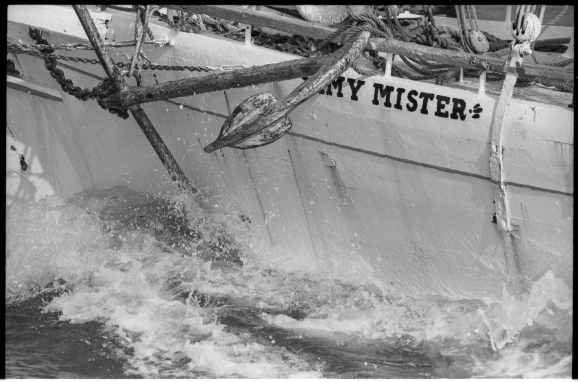 CBMM catalog image