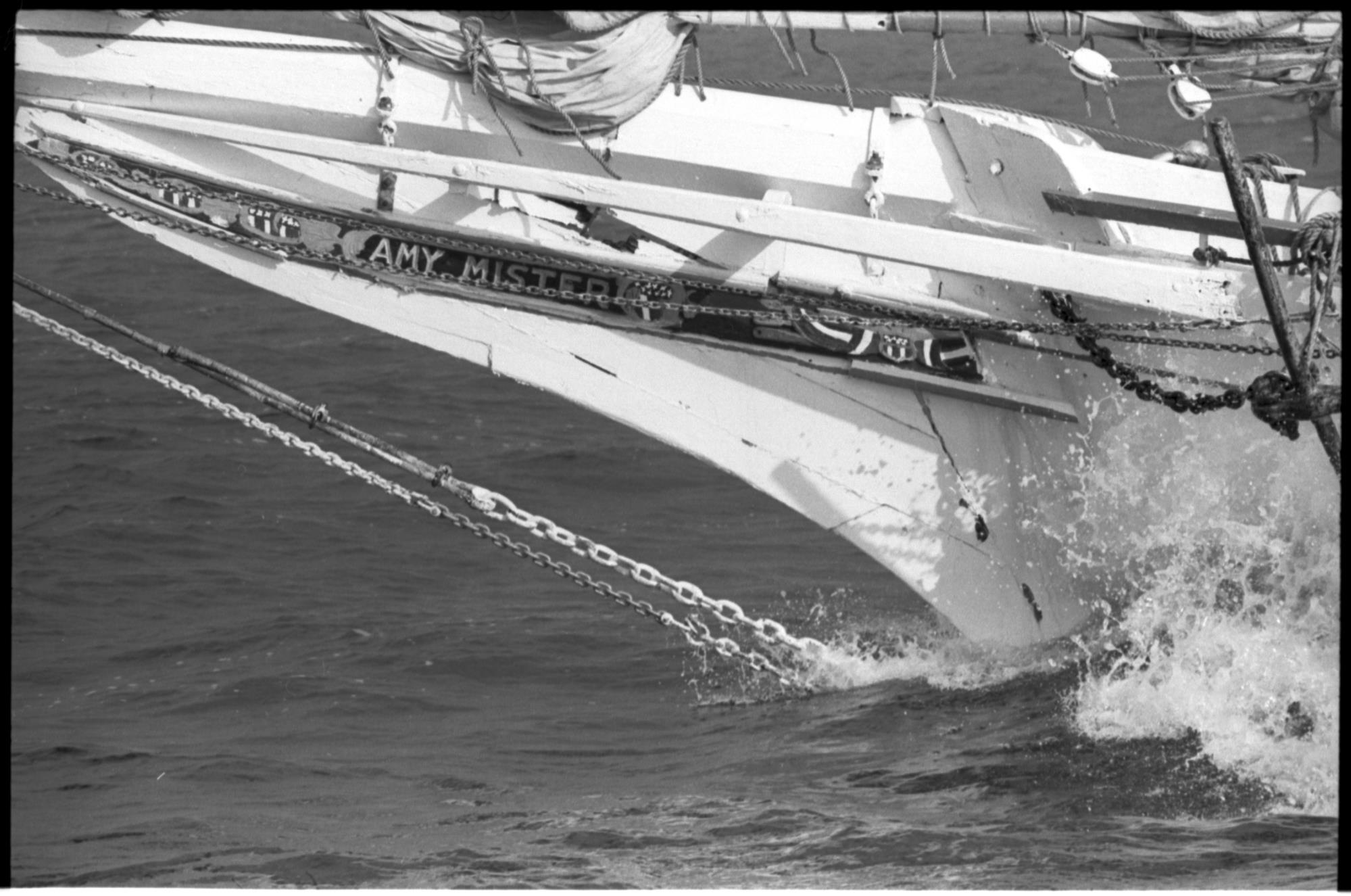 CBMM catalog image