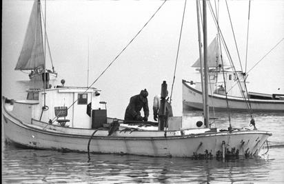 CBMM catalog image