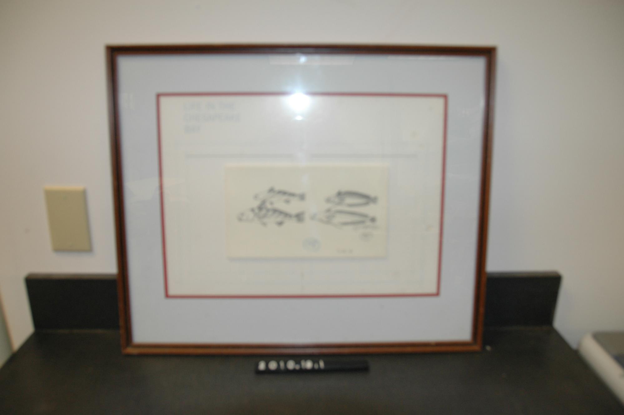 CBMM catalog image