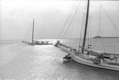 CBMM catalog image