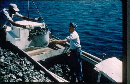 CBMM catalog image
