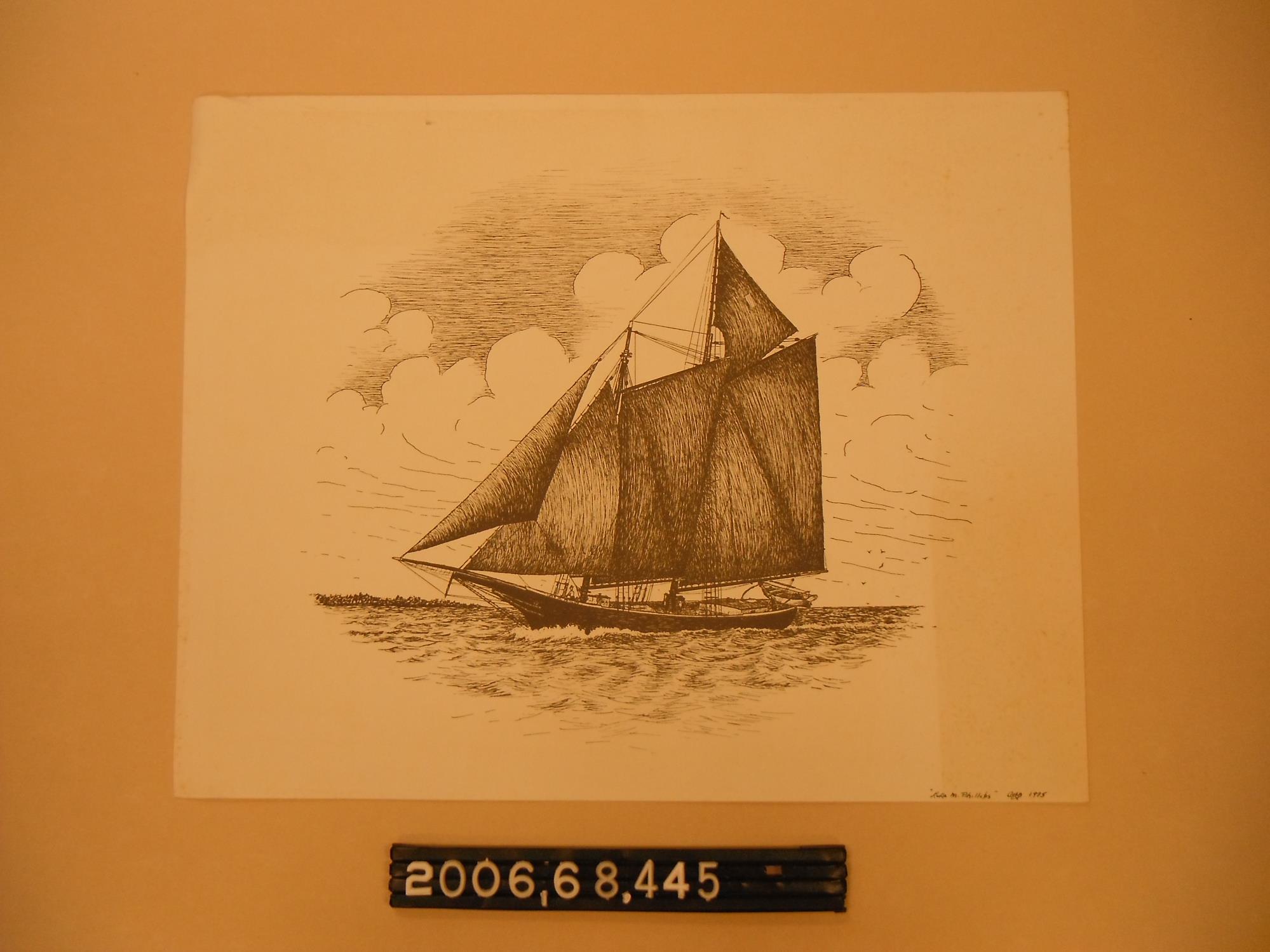 CBMM catalog image
