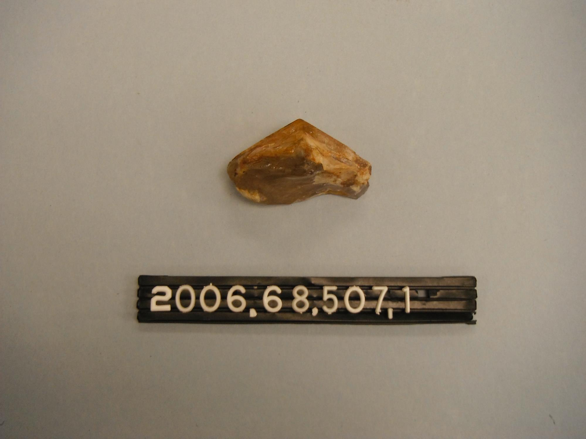CBMM catalog image