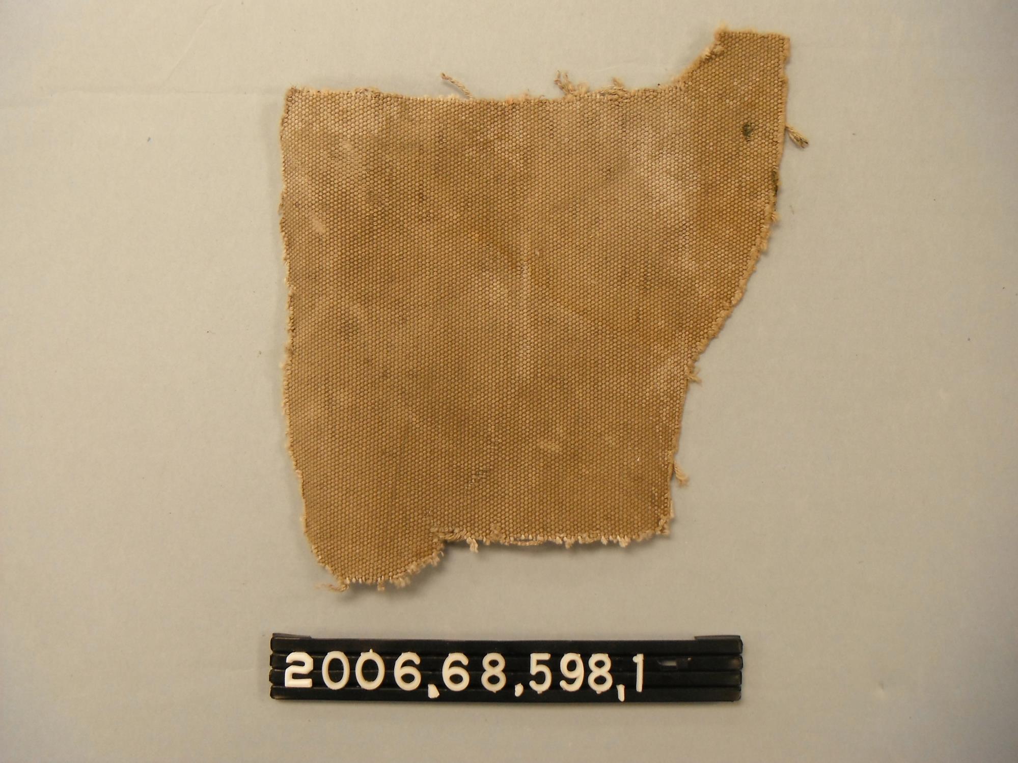 CBMM catalog image