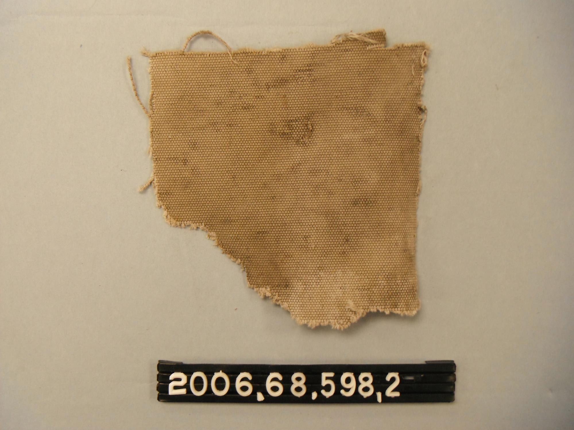 CBMM catalog image