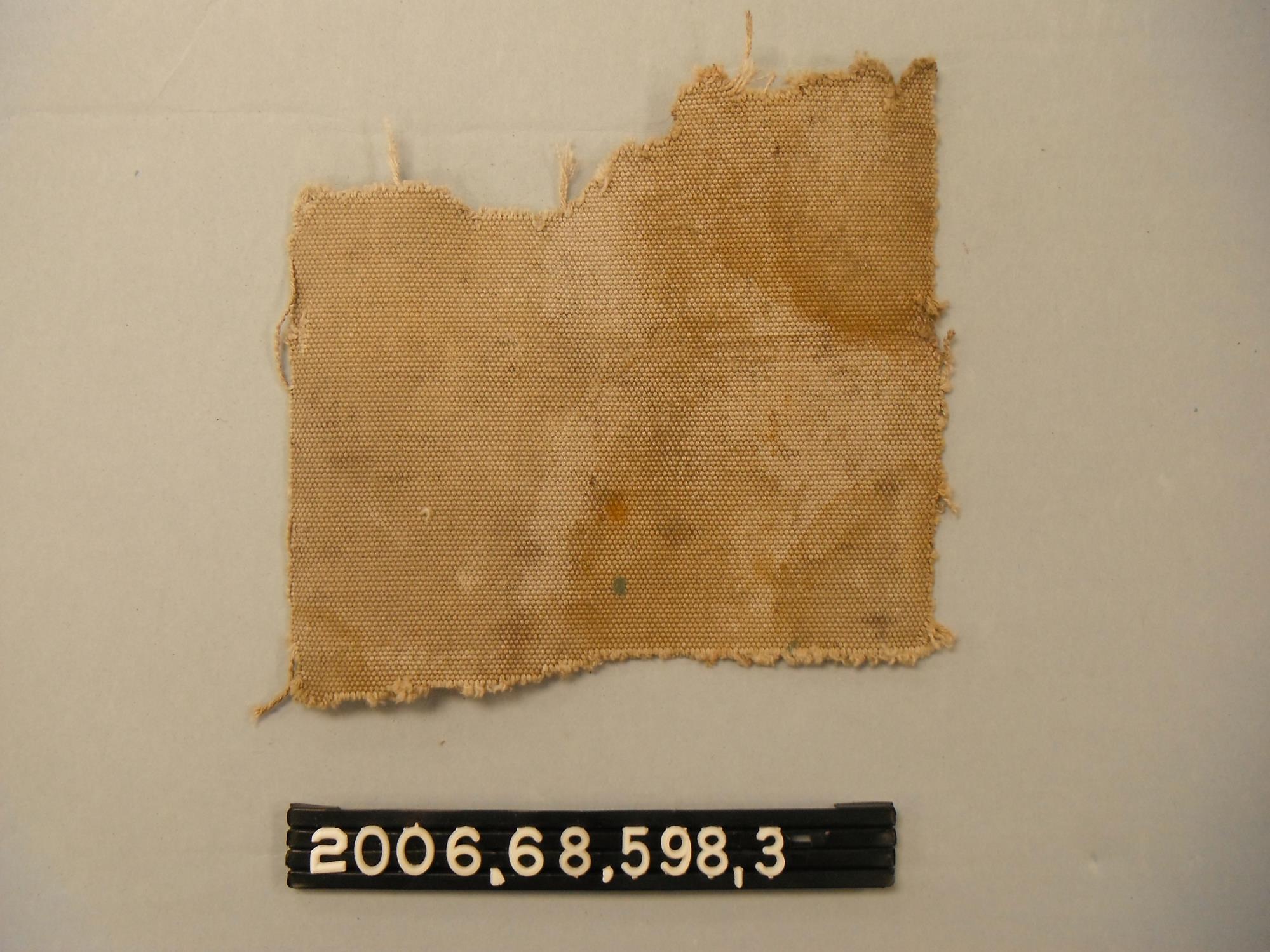 CBMM catalog image