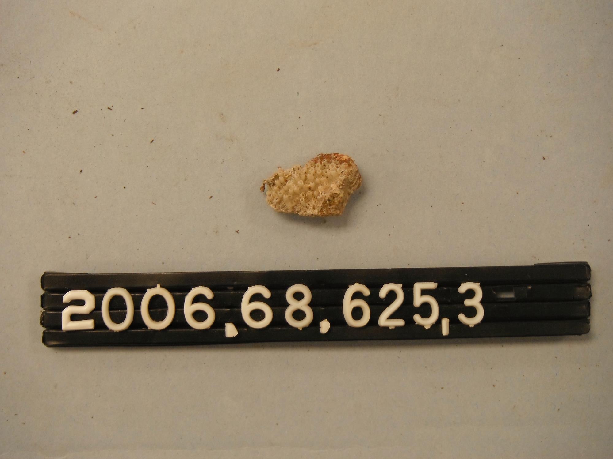 CBMM catalog image