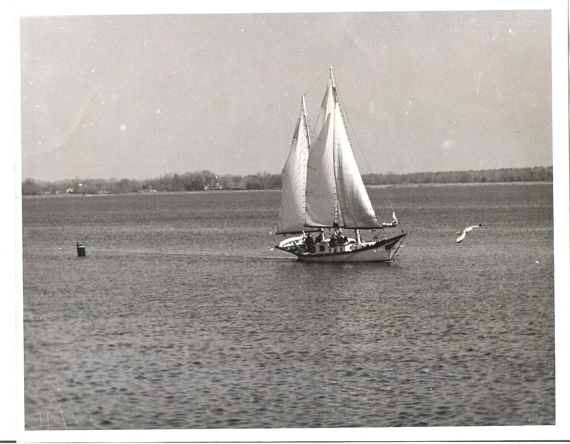 CBMM catalog image