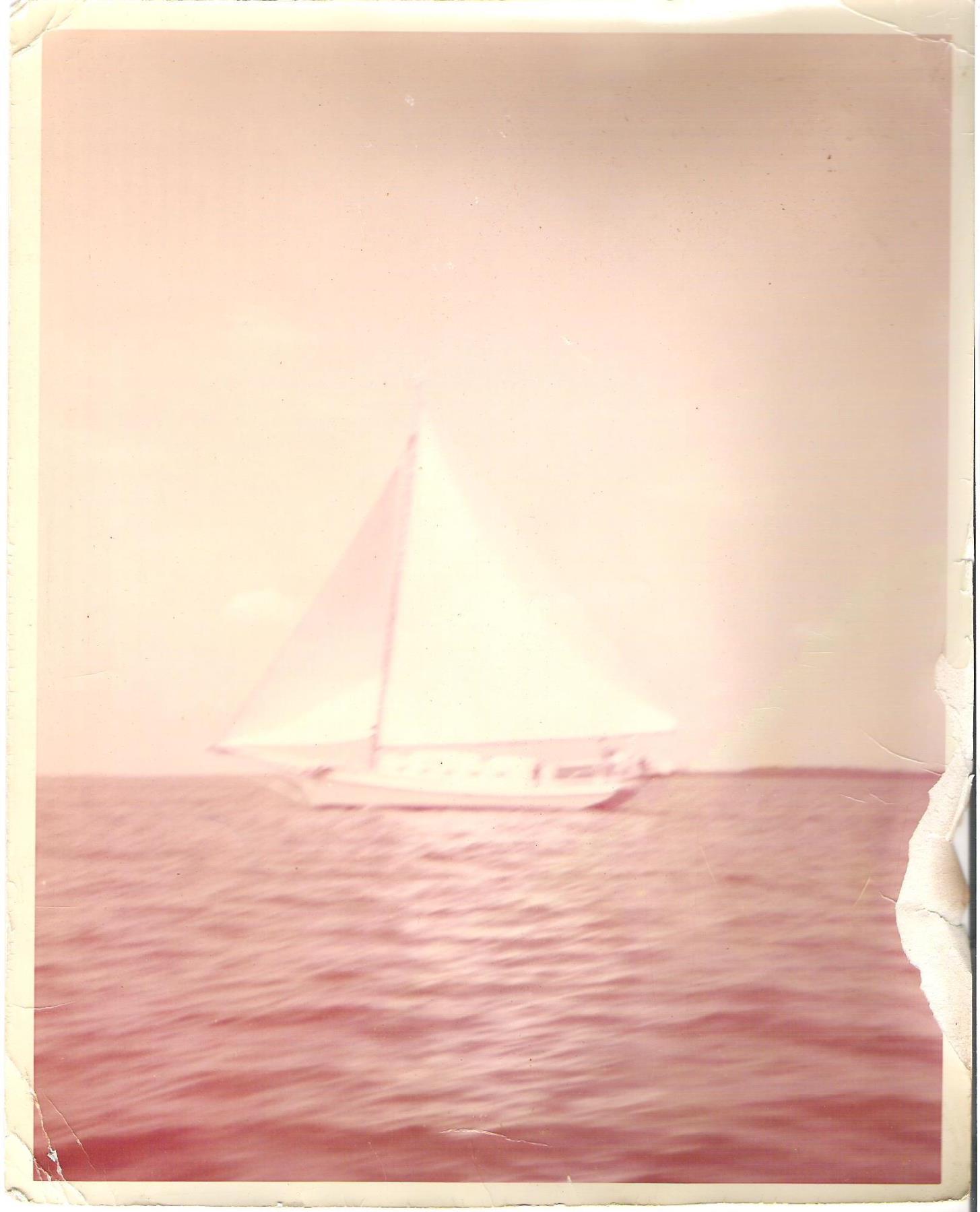 CBMM catalog image