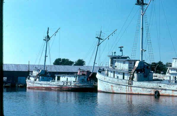CBMM catalog image