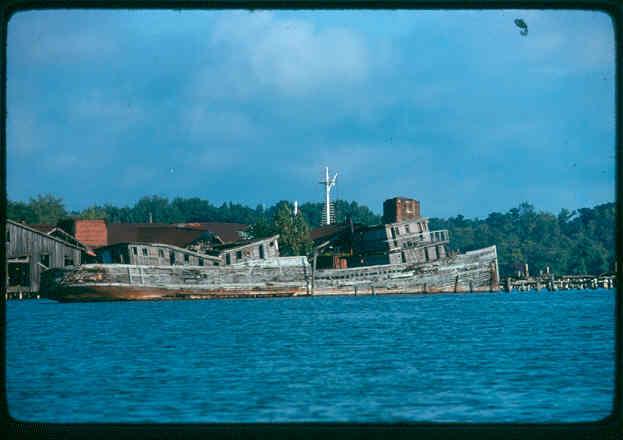 CBMM catalog image