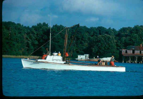 CBMM catalog image