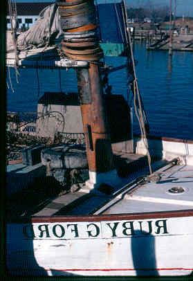 CBMM catalog image