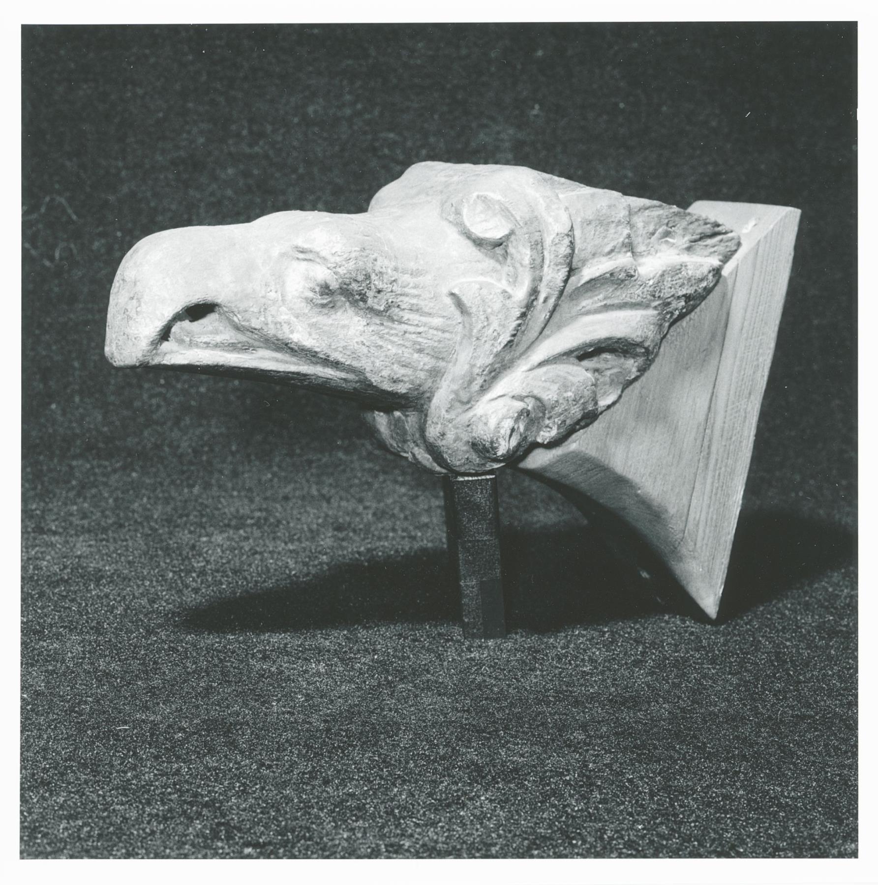 CBMM catalog image