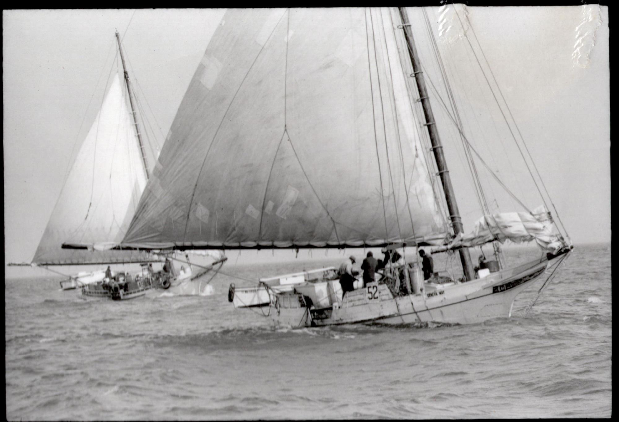 CBMM catalog image