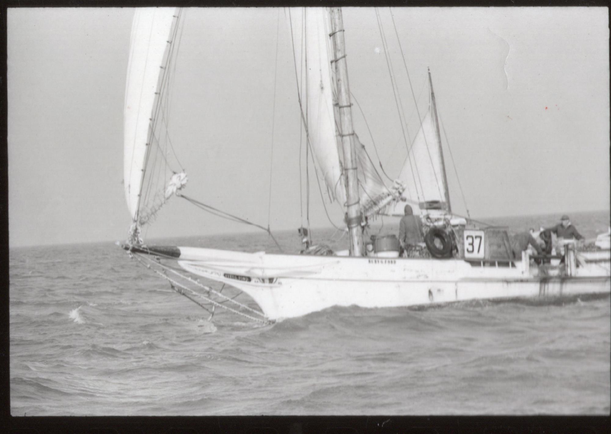 CBMM catalog image