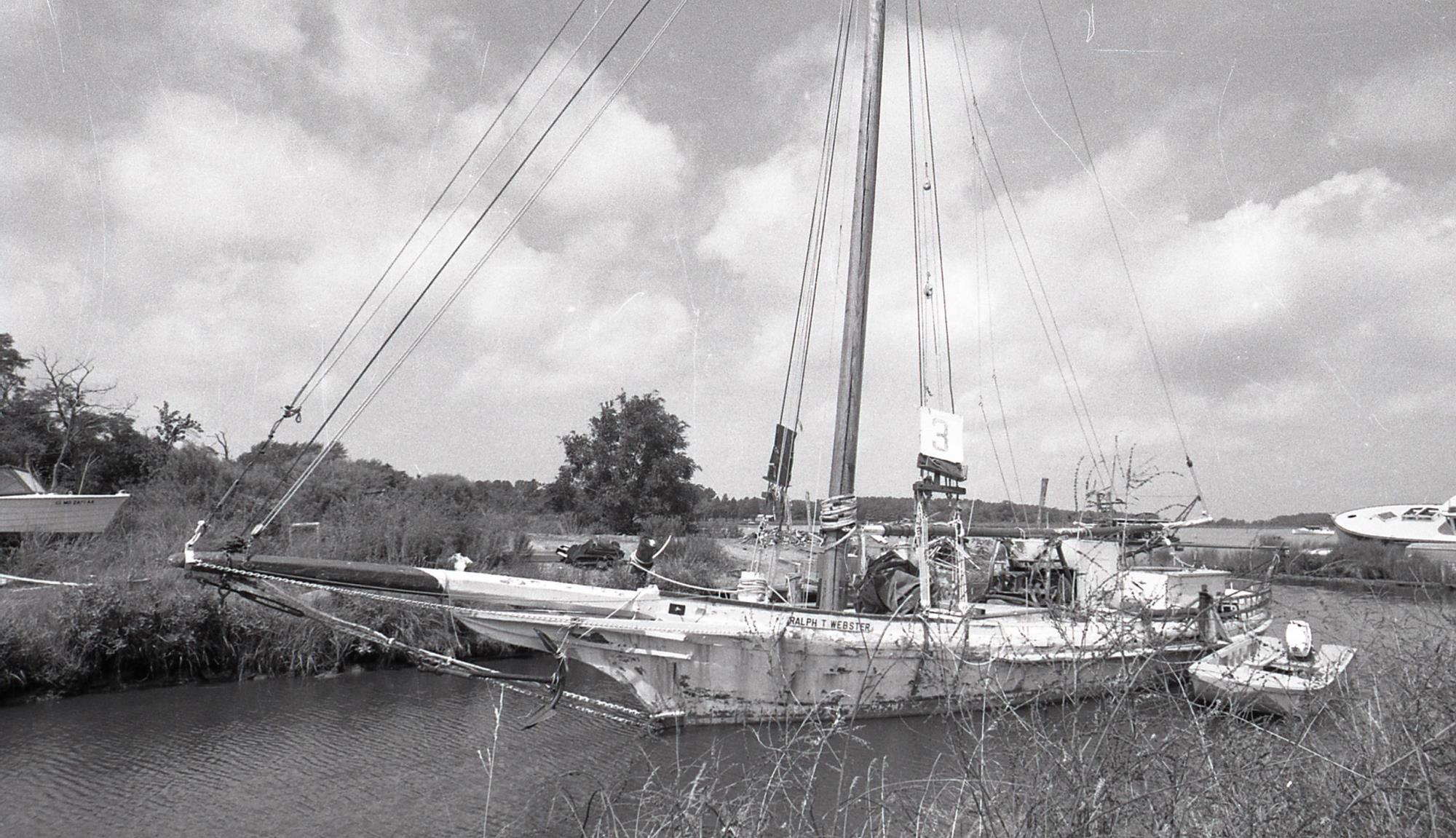 CBMM catalog image