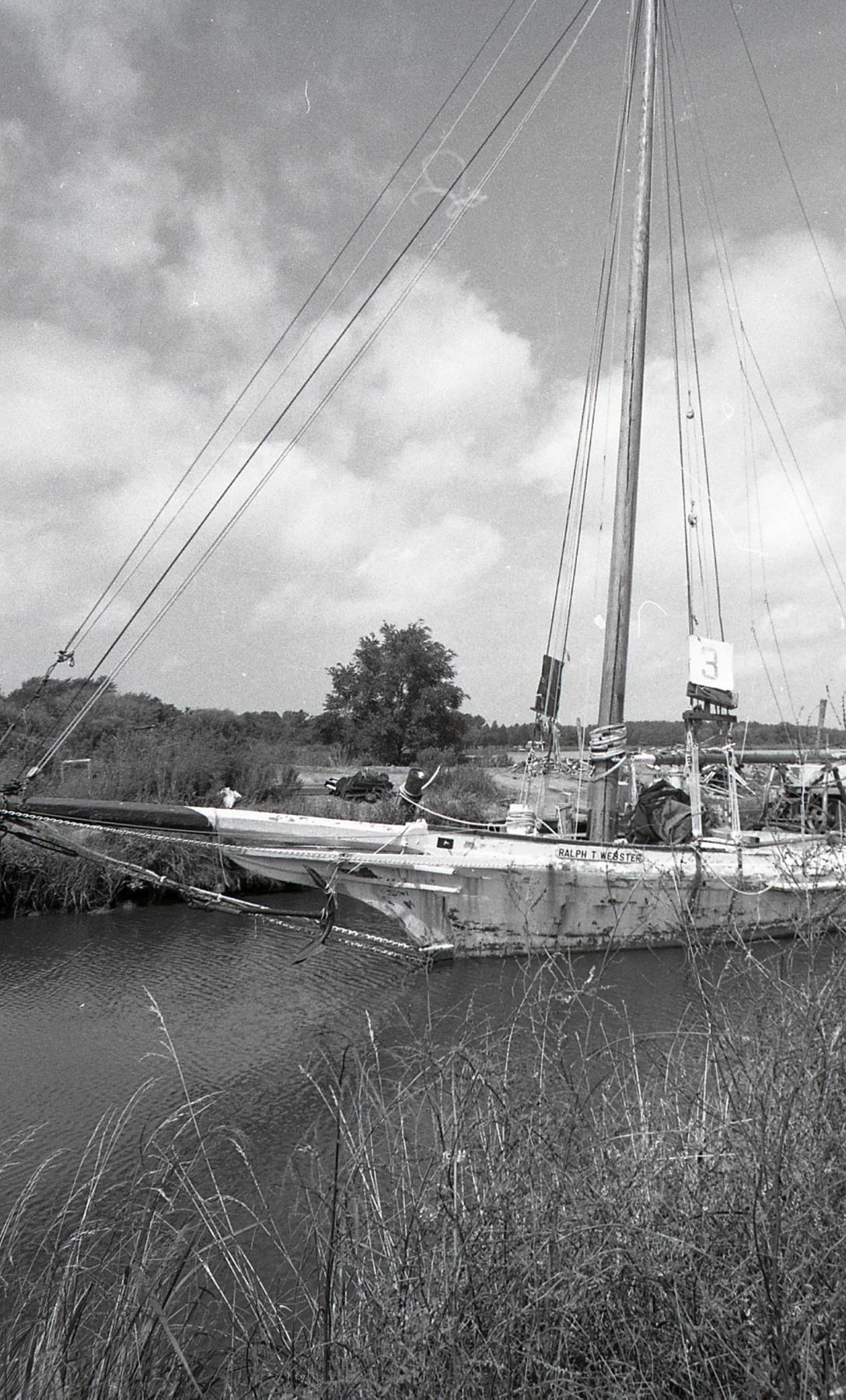 CBMM catalog image