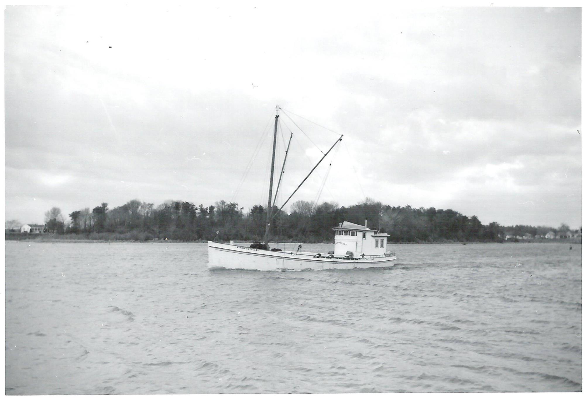 CBMM catalog image