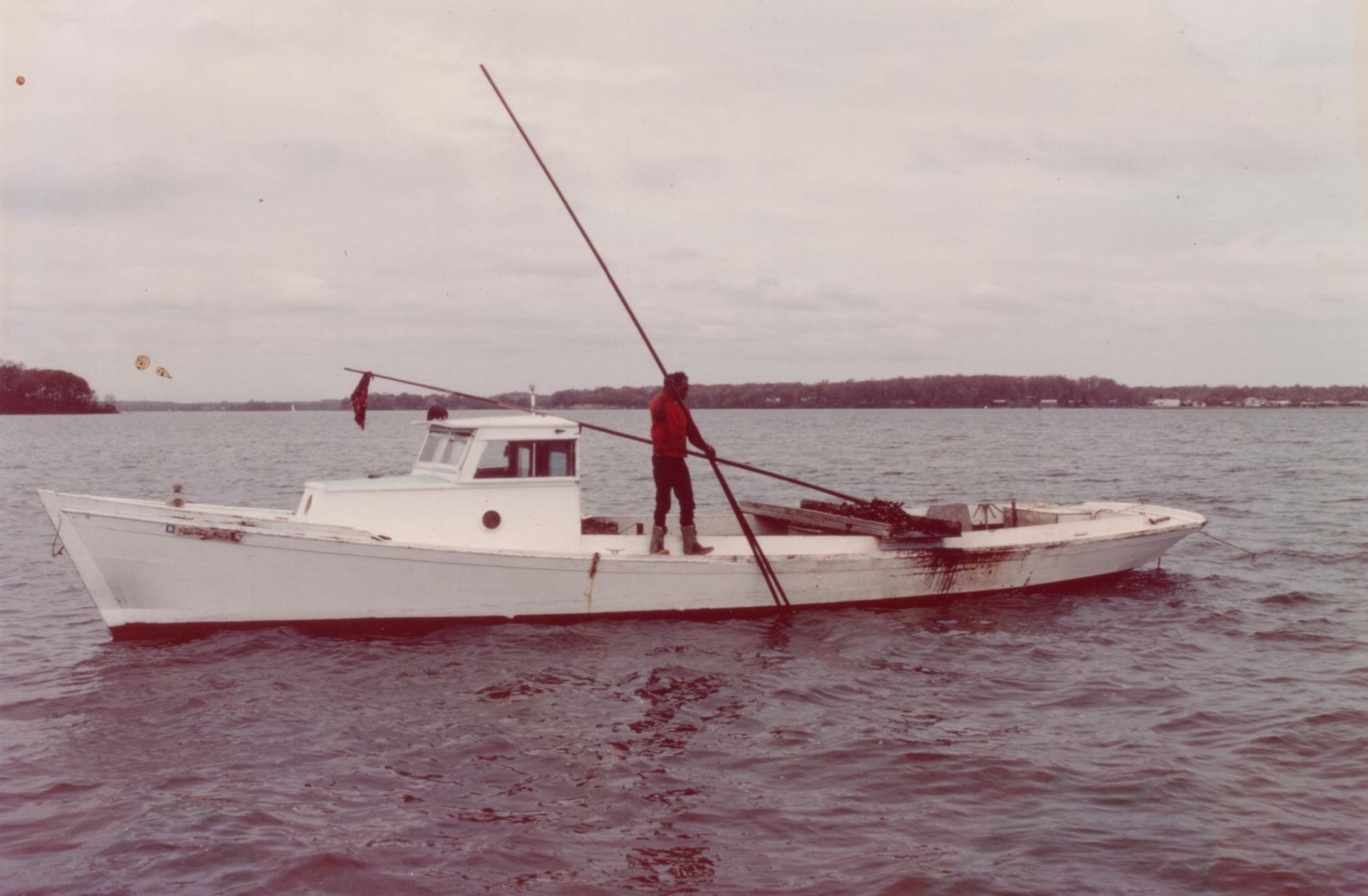 CBMM catalog image
