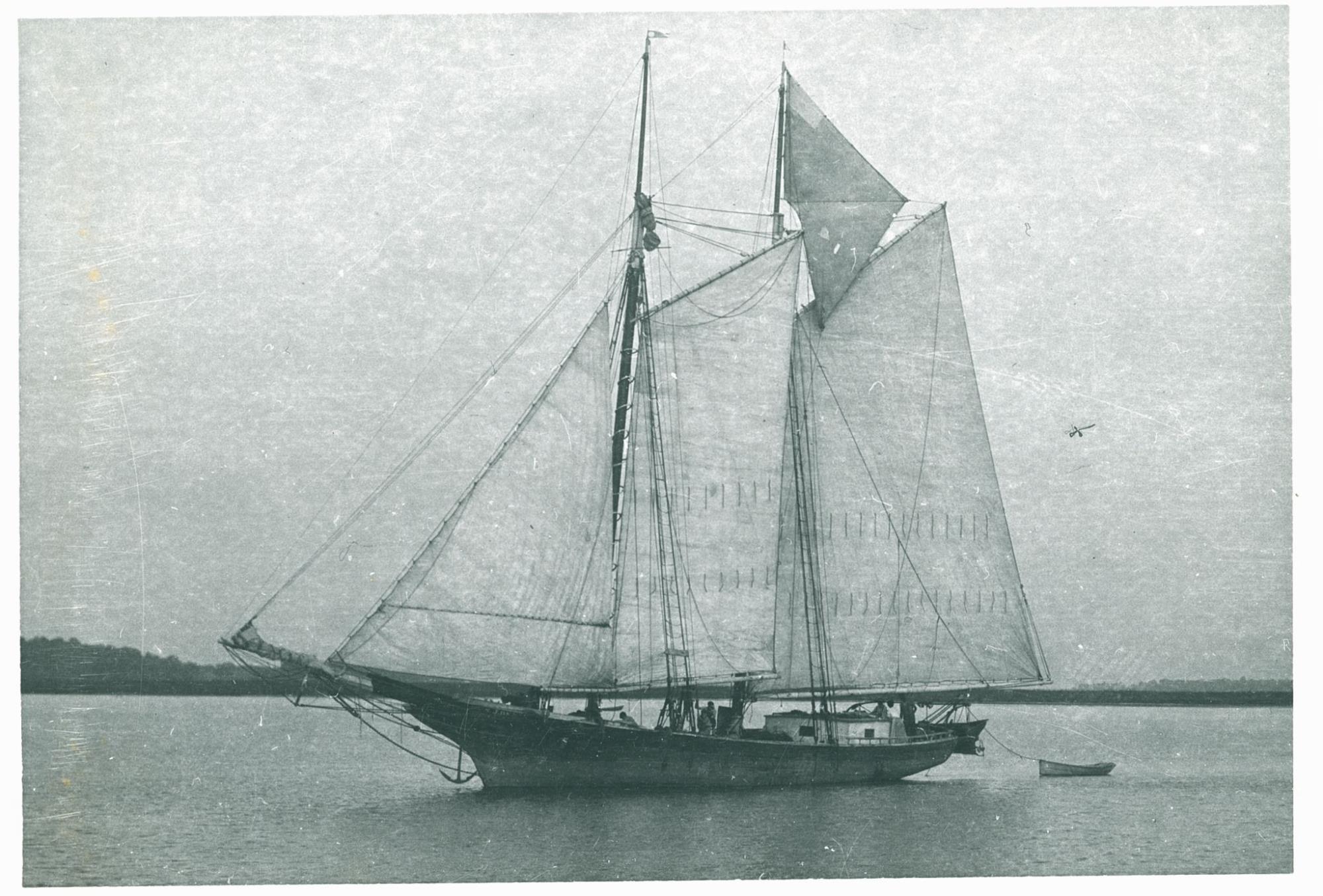CBMM catalog image