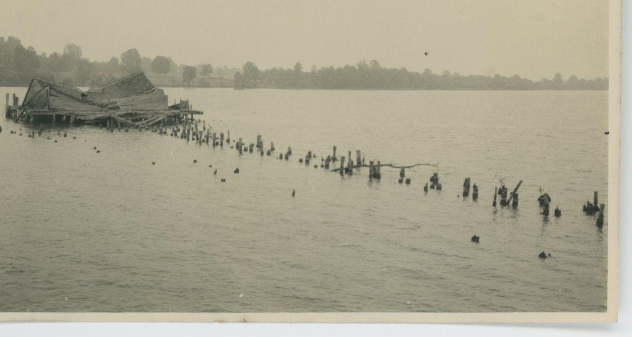 CBMM catalog image