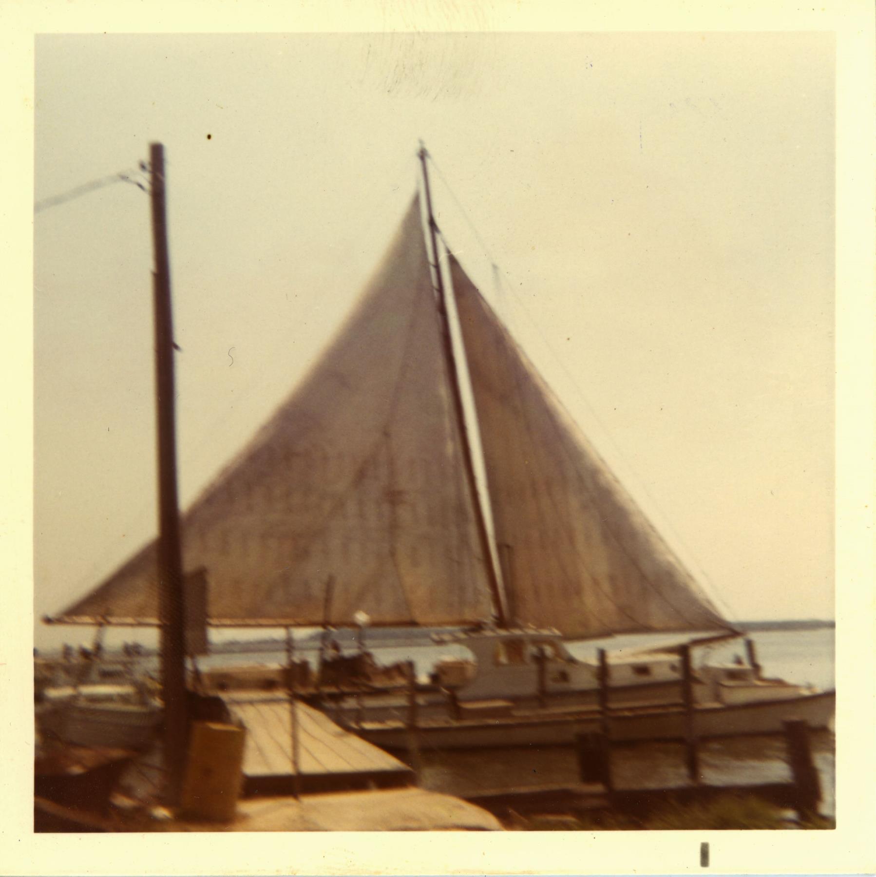 CBMM catalog image