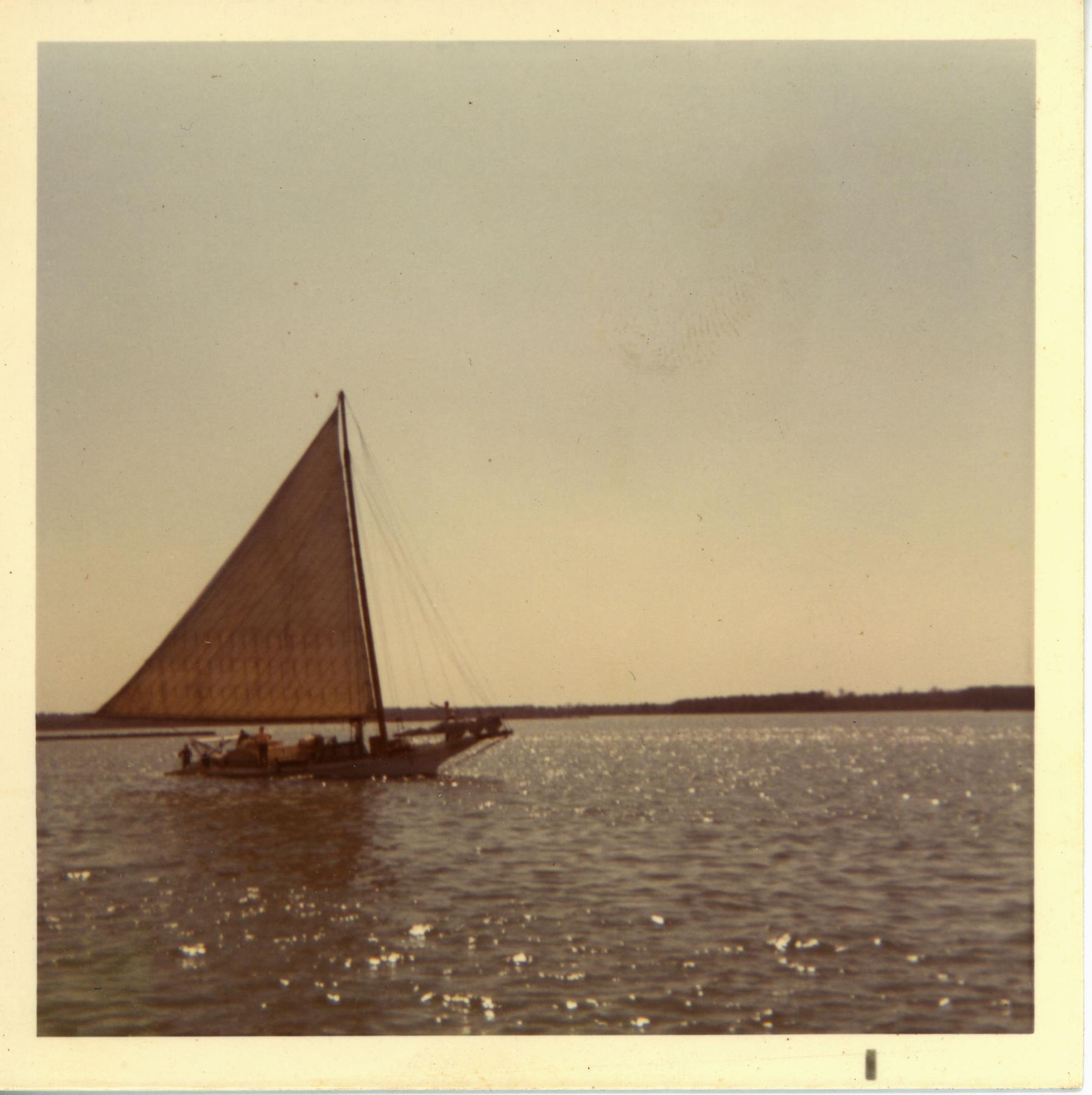 CBMM catalog image